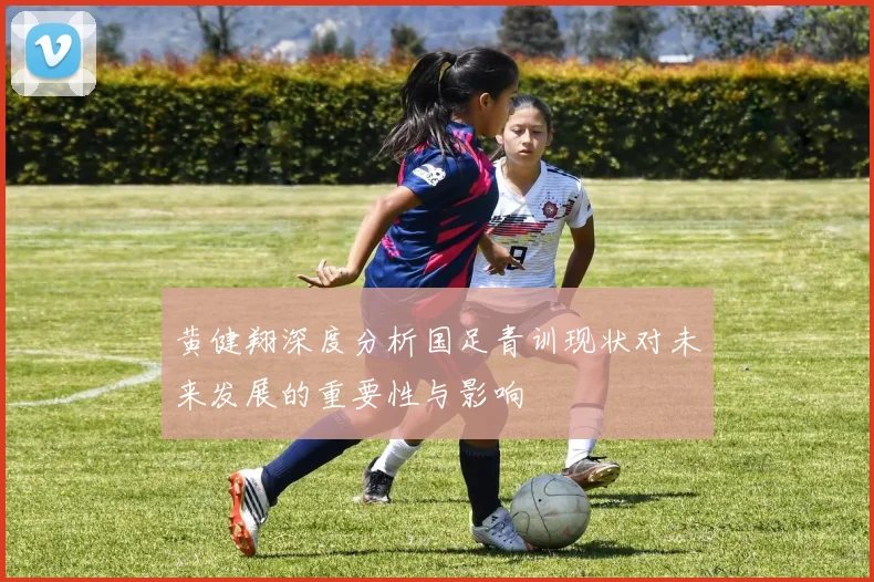 黄健翔深度分析国足青训现状对未来发展的重要性与影响