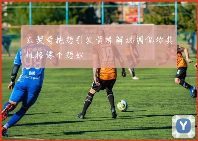 东契奇抱怨引发黄蜂解说调侃称其性格像个怨妇