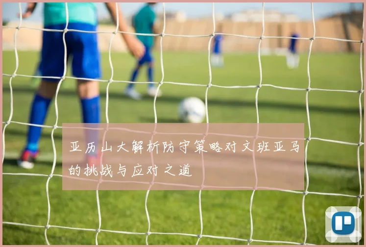 亚历山大解析防守策略对文班亚马的挑战与应对之道