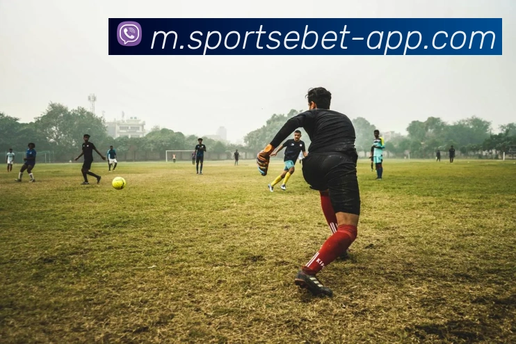 易倍体育平台生态图