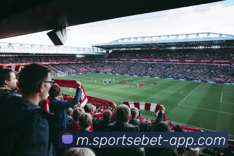 易倍体育APP 封面图